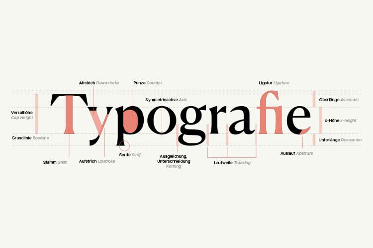 Typografie und Schriftaufbau, Blick auf Details